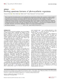 Probing Quantum Features of Photosynthetic Organisms