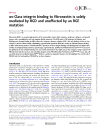 Αv-Class Integrin Binding to Fibronectin Is Solely Mediated by RGD and Unaffected by an RGE Mutation