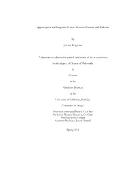 Apperception and Linguistic Contact Between German and Afrikaans By