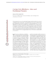 Curing Color Blindness—Mice and Nonhuman Primates