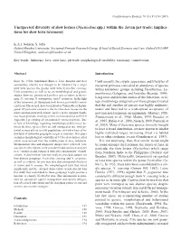 (Nycticebus Spp.) Within the Javan Pet Trade: Implica- Tions for Slow Loris Taxonomy