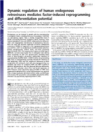 Dynamic Regulation of Human Endogenous Retroviruses Mediates Factor-Induced Reprogramming and Differentiation Potential