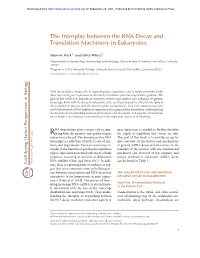 The Interplay Between the RNA Decay and Translation Machinery in Eukaryotes
