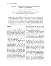 Phylogenetic Relationships of Brassicaceae Species Based on Matk Sequences