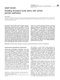 Building Divergent Body Plans with Similar Genetic Pathways