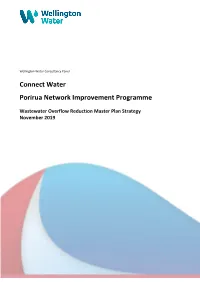 Connect Water Porirua Network Improvement Programme
