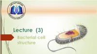 Gram Negative Bacterial Structure  Explain the Medical Implications of Spore Formation