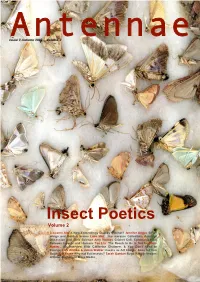 Insect Poetics