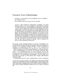 Tautomeric Forms of Metarhodopsin