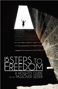 15 Steps to Freedom