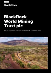 Blackrock World Mining Trust Plc