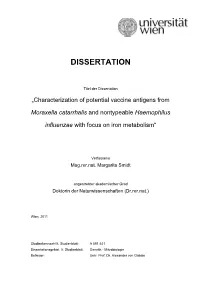 Dissertation