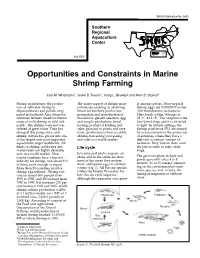 Opportunities and Constraints in Marine Shrimp Farming