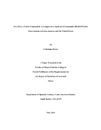 Por, Para Y Con La Comunidad: a Comparative Analysis of Community Health Worker