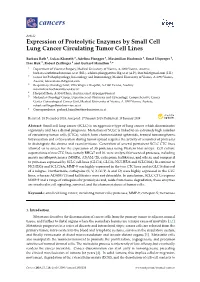 Expression of Proteolytic Enzymes by Small Cell Lung Cancer Circulating Tumor Cell Lines