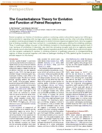The Counterbalance Theory for Evolution and Function of Paired Receptors