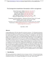 Viral Integration Transforms Chromatin to Drive Oncogenesis
