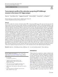 Transcriptomic Profile of the Subiculum-Projecting VIP Gabaergic Neurons in the Mouse CA1 Hippocampus