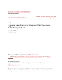 Hadron Structures and Decays Within Quantum Chromodynamics Alaa Abd El-Hady Iowa State University
