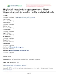 Single-Cell Metabolic Imaging Reveals a Rhoa- Triggered Glycolytic Burst in Motile Endothelial Cells