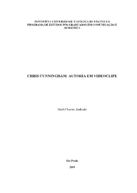 Chris Cunningham: Autoria Em Videoclipe