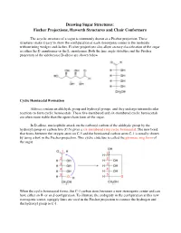 Drawing Sugar Structures: Fischer Projections, Haworth Structures and Chair Conformers