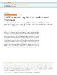 PRMT5-Mediated Regulation of Developmental Myelination