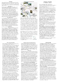 A Heritage Trail Guide for Ballymore Eustace