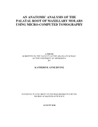 An Anatomic Analysis of the Palatal Root of Maxillary Molars Using Micro-Computed Tomography