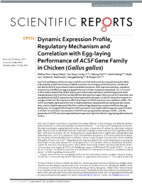 Dynamic Expression Profile, Regulatory Mechanism And