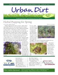 Herbal Prepping for Spring