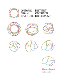 Phase 1 Report 2010-2013