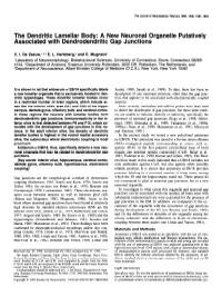 The Dendritic Lamellar Body: a New Neuronal Organelle Putatively Associated with Dendrodendritic Gap Junctions