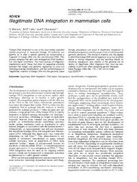 Illegitimate DNA Integration in Mammalian Cells