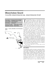 Okeechobee Gourd Cucurbita Okeechobeensis Ssp