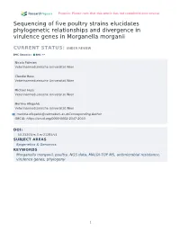 Sequencing of Five Poultry Strains Elucidates Phylogenetic Relationships and Divergence in Virulence Genes in Morganella Morganii