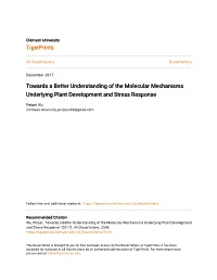Towards a Better Understanding of the Molecular Mechanisms Underlying Plant Development and Stress Response