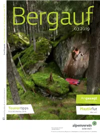 Bergauf 03/19