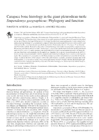 Carapace Bone Histology in the Giant Pleurodiran Turtle Stupendemys Geographicus: Phylogeny and Function