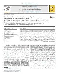 Causal Role of Oxidative Stress in Unfolded Protein Response Development in the Hyperthyroid State