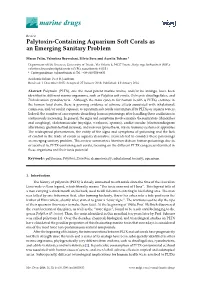 Palytoxin-Containing Aquarium Soft Corals As an Emerging Sanitary Problem