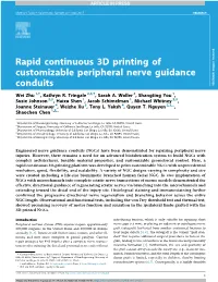 Rapid Continuous 3D Printing of Customizable Peripheral Nerve Guidance