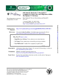 The Splenic T Cell Zone Within Lymphocyte Entry Into And