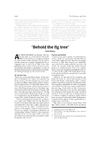 “Behold the Fig Tree”