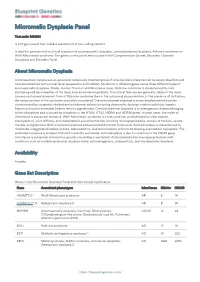 Blueprint Genetics Micromelic Dysplasia Panel