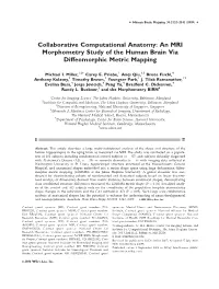 Collaborative Computational Anatomy: an MRI Morphometry Study of the Human Brain Via Diffeomorphic Metric Mapping