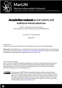 Download PDF Version