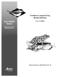 Northern Leopard Frog Reintroduction