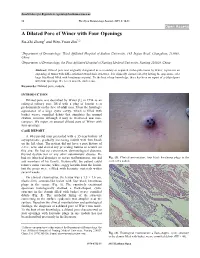A Dilated Pore of Winer with Four Openings Ru-Zhi Zhang1 and Wen-Yuan Zhu*,2