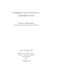 Complexity and Behaviour in Leptothorax Ants